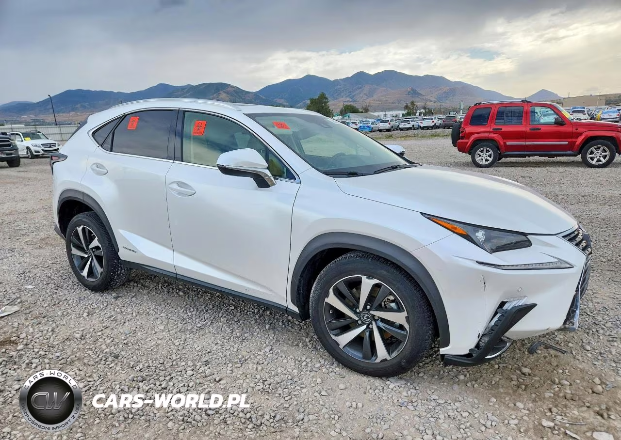 2021 Lexus Nx 300H Base VIN:JTJGJRDZXM5012266 - 4