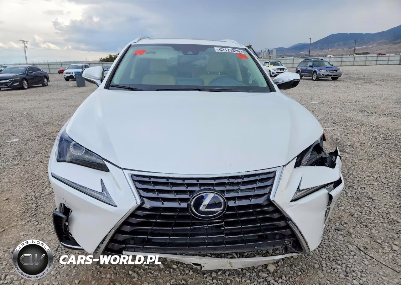 2021 Lexus Nx 300H Base VIN:JTJGJRDZXM5012266 - 5