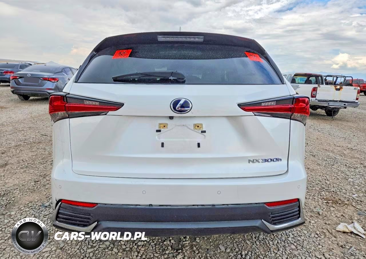 2021 Lexus Nx 300H Base VIN:JTJGJRDZXM5012266 - 6