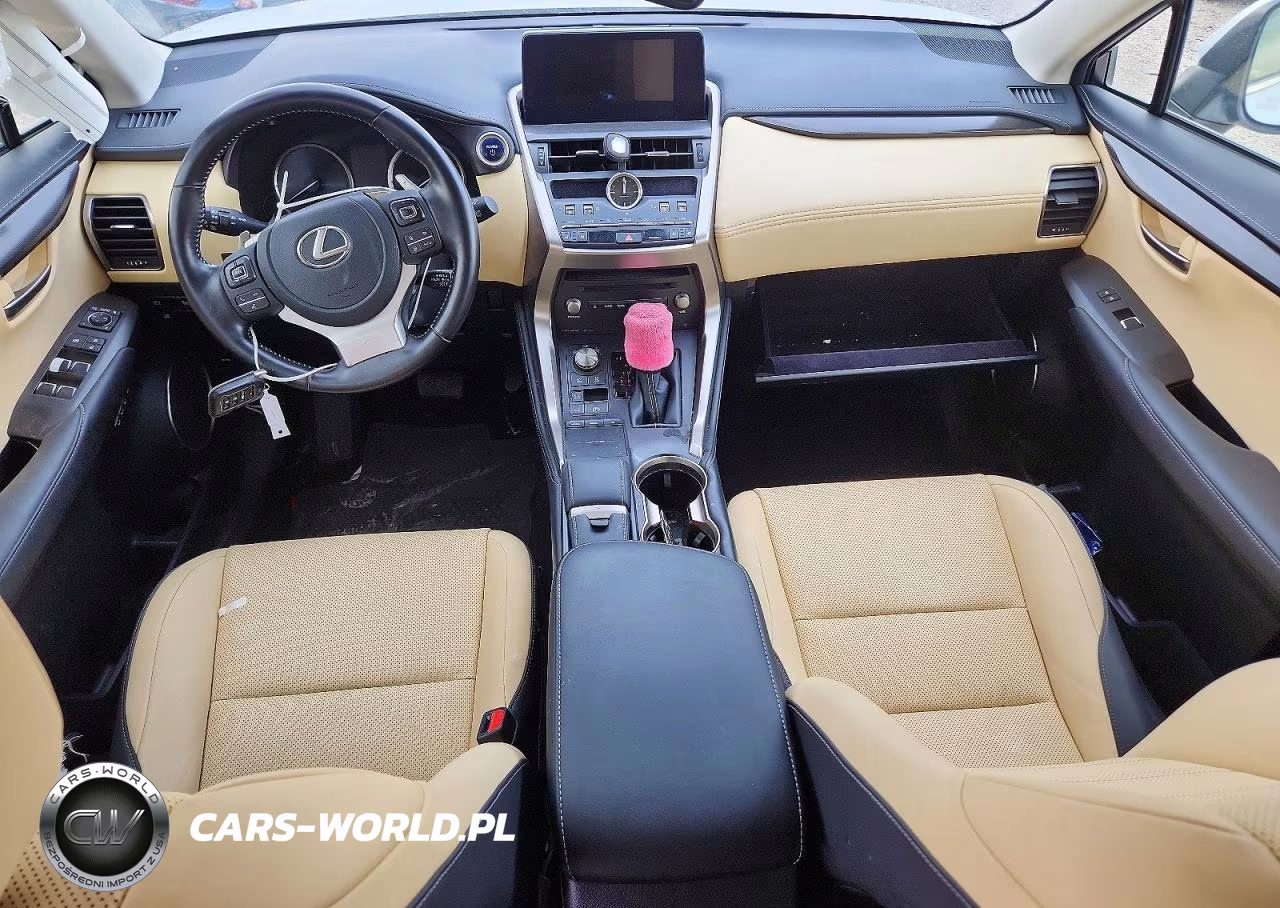 2021 Lexus Nx 300H Base VIN:JTJGJRDZXM5012266 - 8