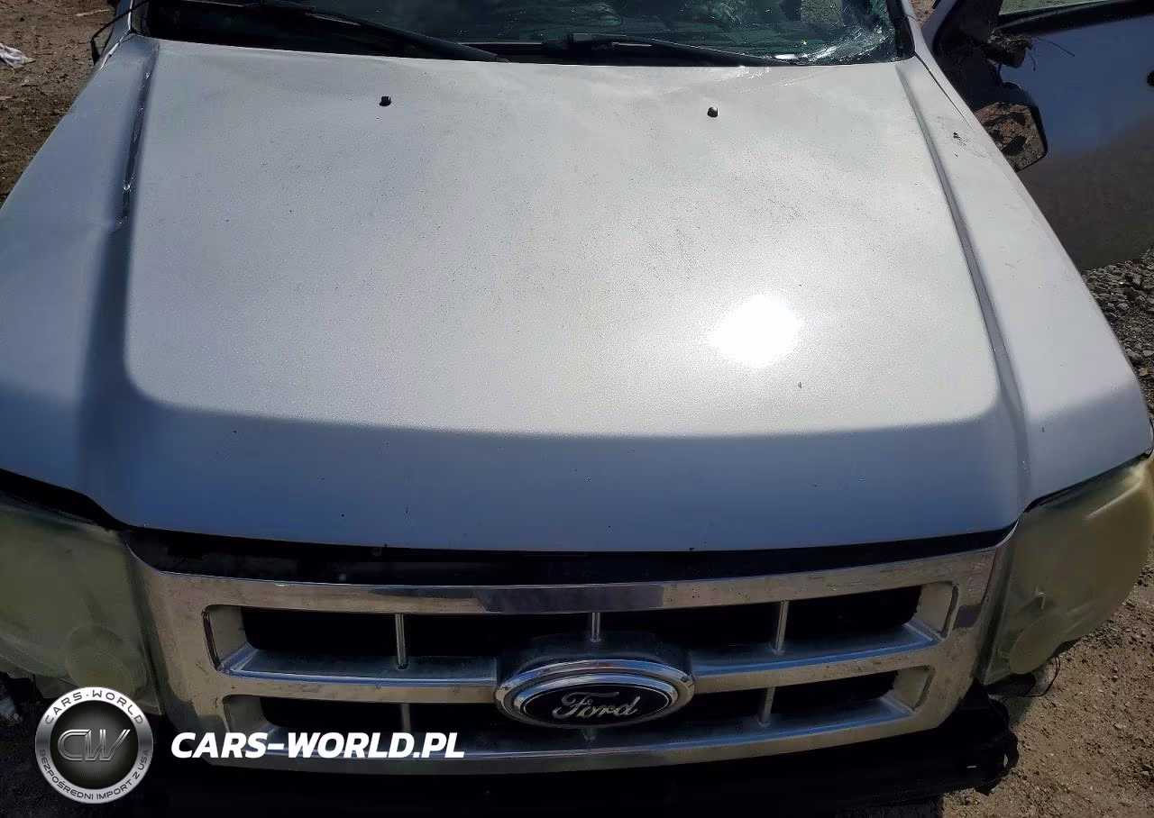 2011 Ford Escape Xlt VIN:1FMCU0DGXBKB59121 - 11