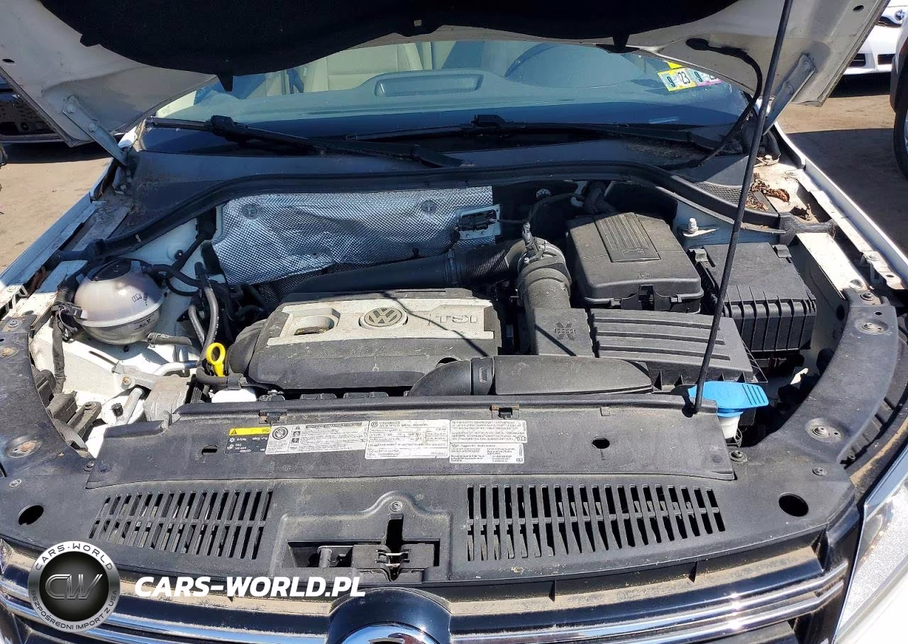 2014 Volkswagen Tiguan S VIN:WVGBV3AX2EW523382 - 12