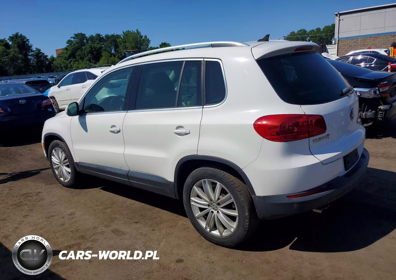 2014 Volkswagen Tiguan S VIN:WVGBV3AX2EW523382 - 2