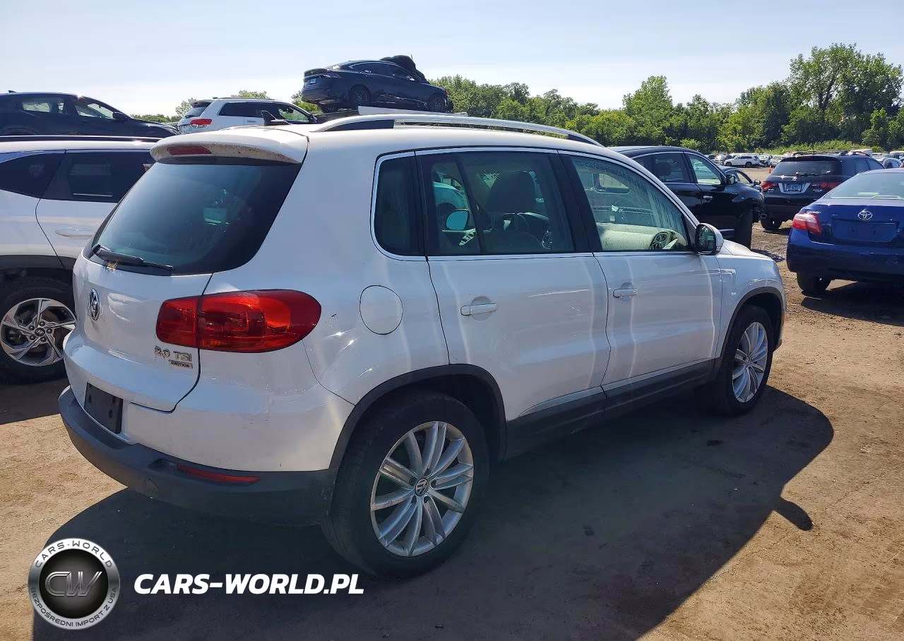 2014 Volkswagen Tiguan S VIN:WVGBV3AX2EW523382 - 3