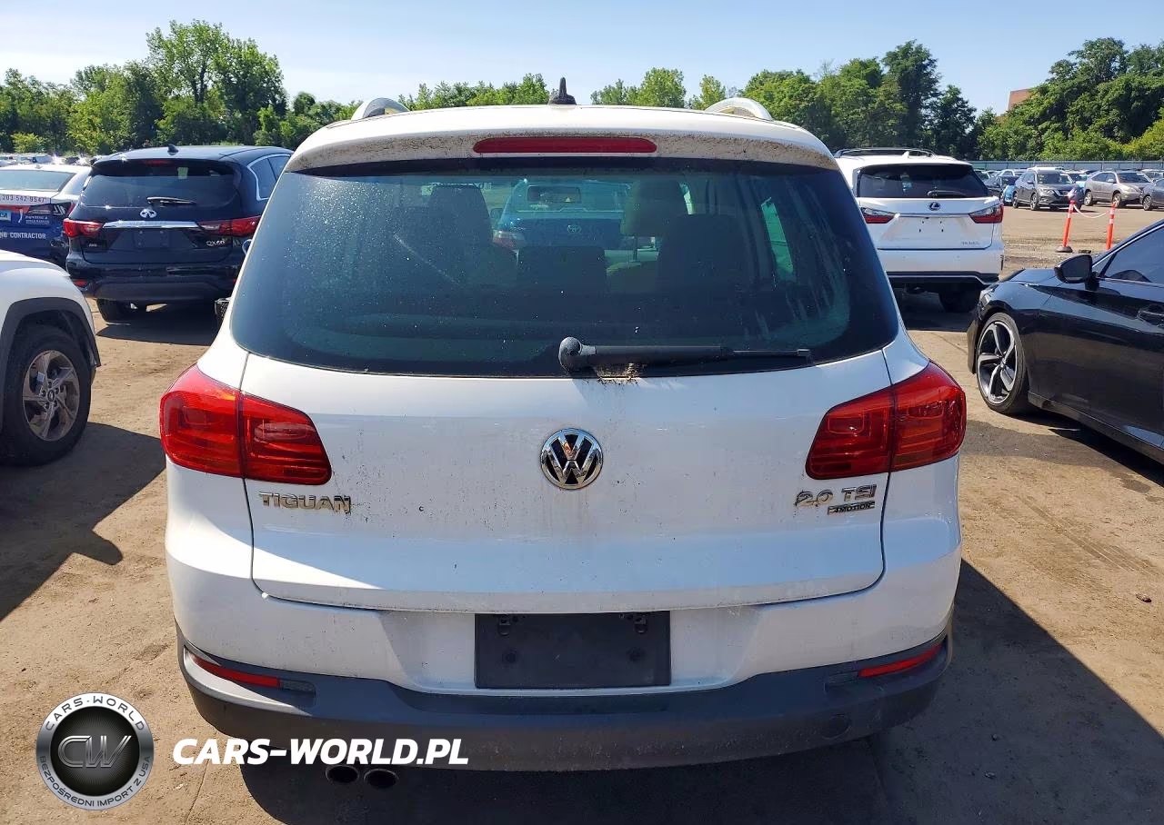 2014 Volkswagen Tiguan S VIN:WVGBV3AX2EW523382 - 6