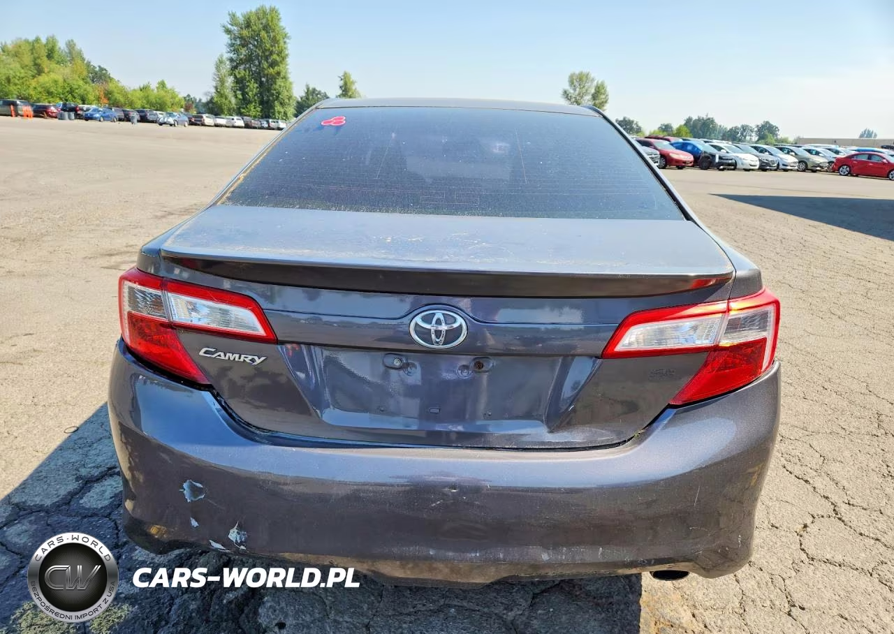 2013 Toyota Camry Se VIN:4T1BF1FK5DU290641 - 6