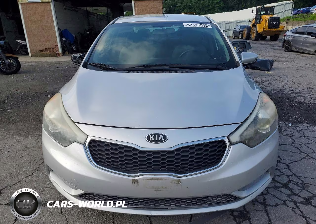 2015 Kia Forte Lx VIN:KNAFK4A6XF5383050 - 5
