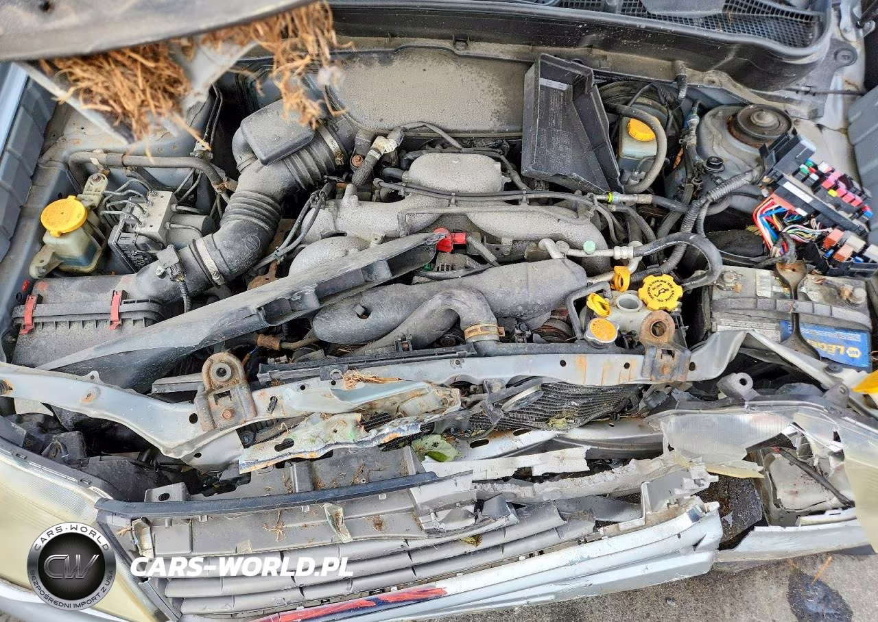 2010 Subaru Forester 2.5X Premium VIN:JF2SH6CC8AH786354 - 11
