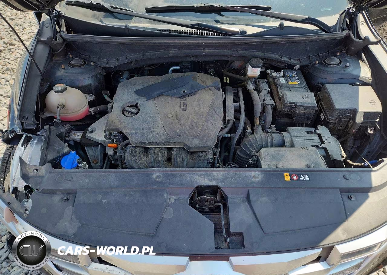 2022 Hyundai Santa Cruz Se VIN:5NTJADAE8NH002125 - 11