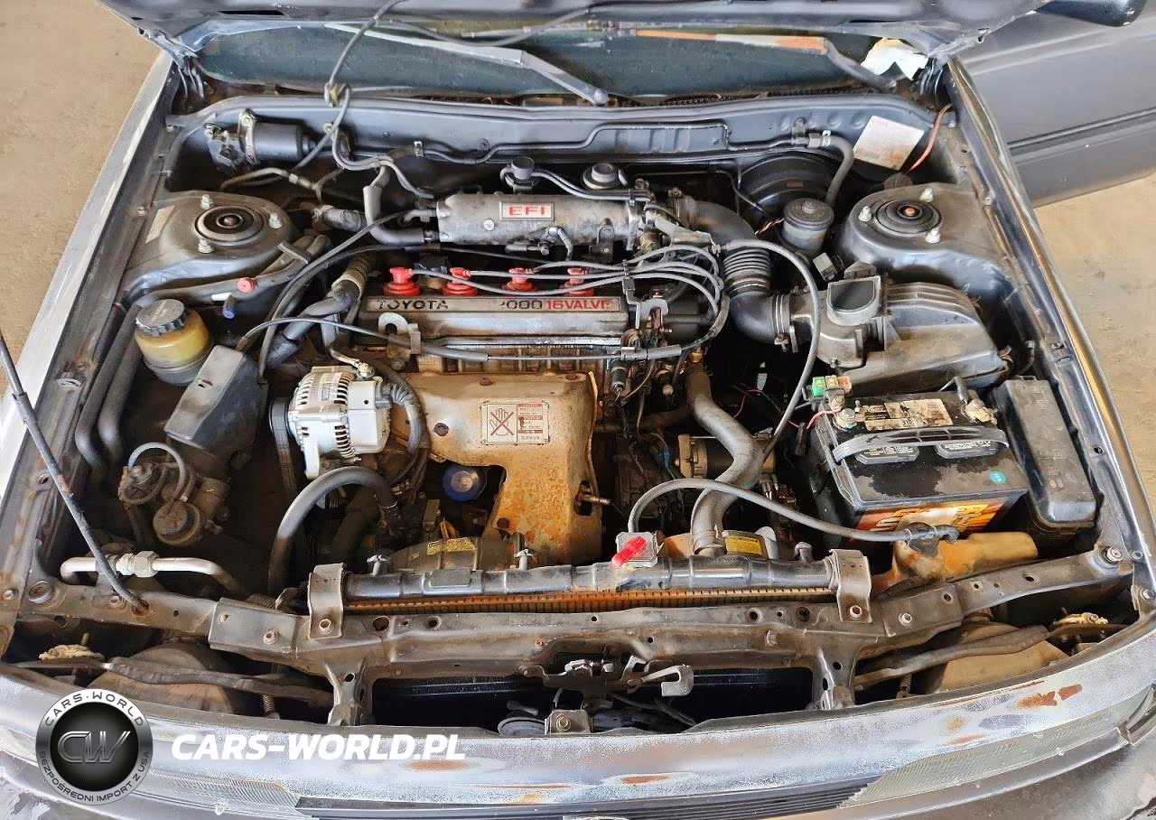 1991 Toyota Camry Deluxe VIN:JT2SV21E1M3446218 - 11