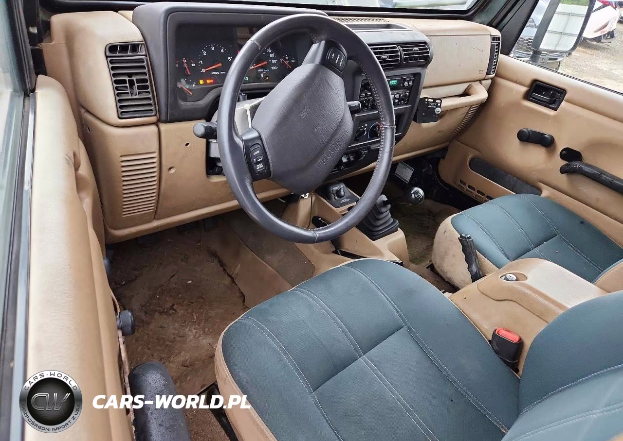 2002 Jeep Wrangler - Tj Sahara VIN:1J4FA59S22P730151 - 8