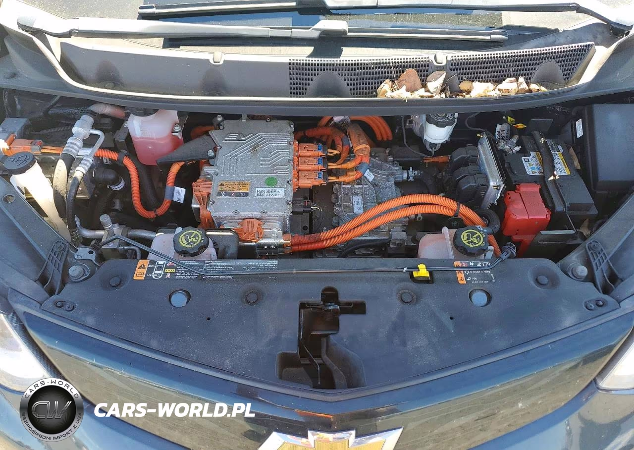 2019 Chevrolet Bolt Ev Premier VIN:1G1FZ6S07K4100617 - 11