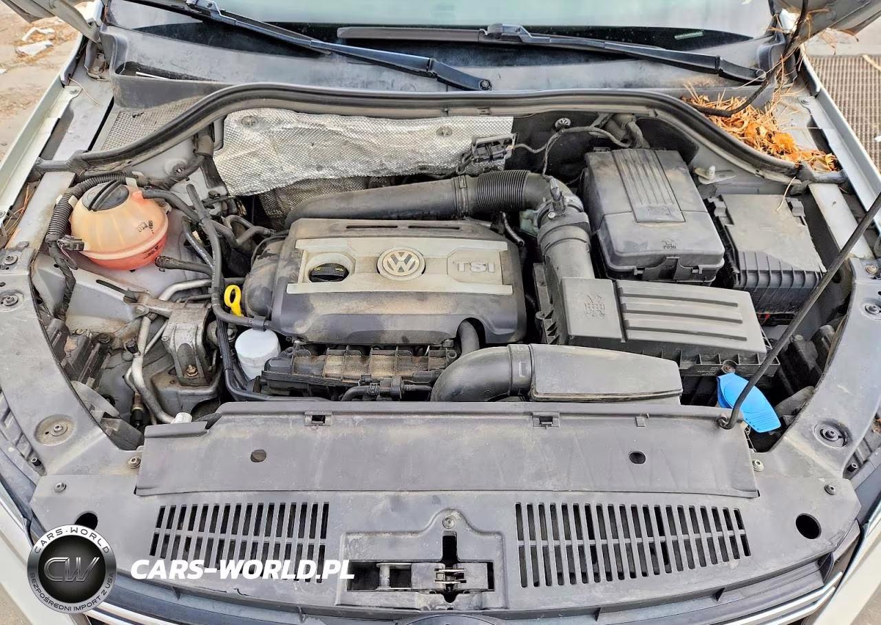2013 Volkswagen Tiguan S VIN:WVGBV7AXXDW545099 - 12