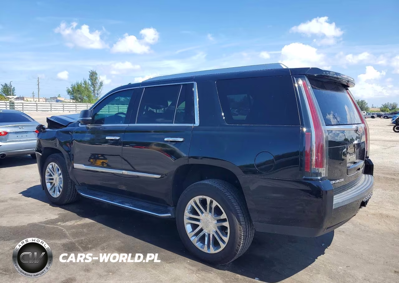 2019 Cadillac Escalade VIN:1GYS3AKJ0KR346618 - 2