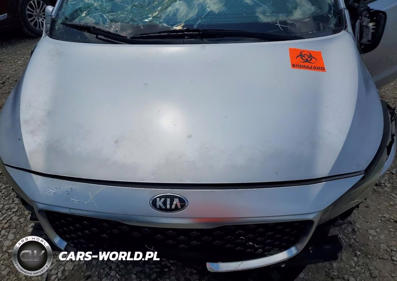 2016 Kia Sedona L VIN:KNDMA5C1XG6102221 - 11