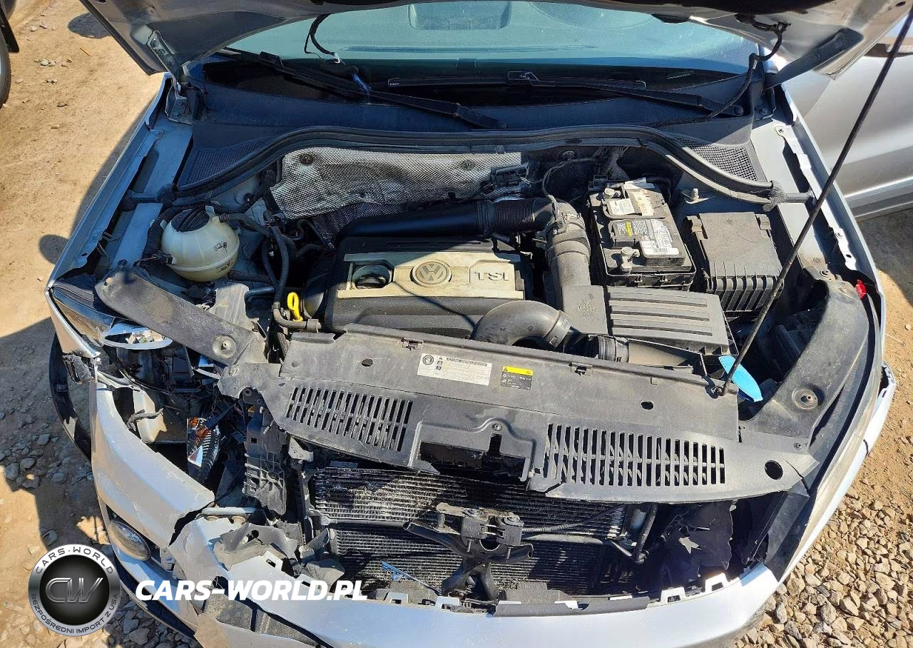 2015 Volkswagen Tiguan S VIN:WVGBV7AX6FW106100 - 12