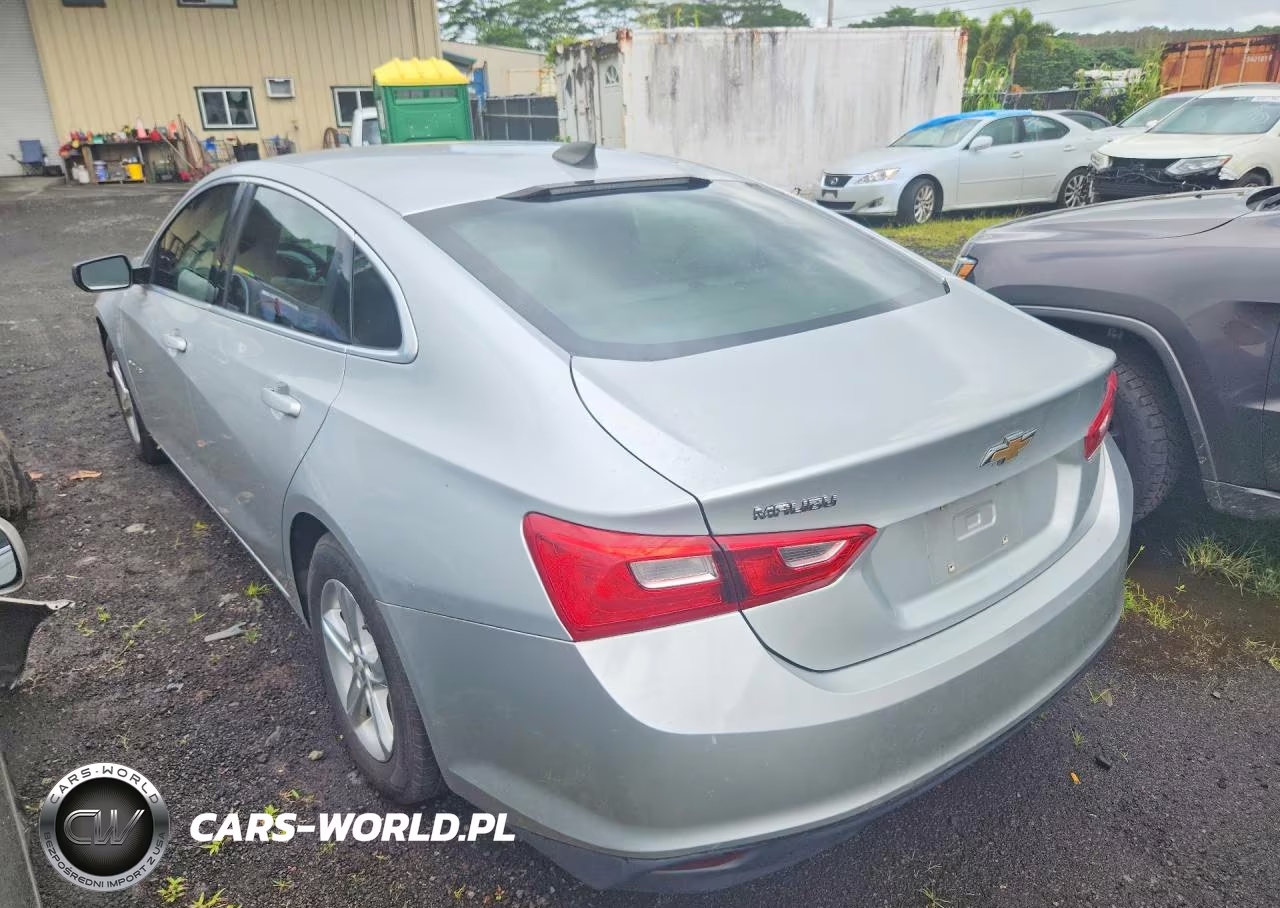2019 Chevrolet Malibu Ls VIN:1G1ZB5ST7KF149827 - 2