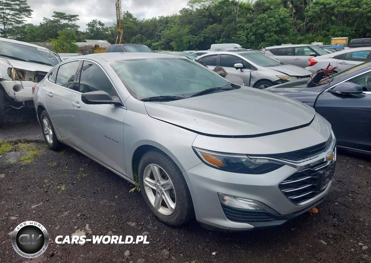 2019 Chevrolet Malibu Ls VIN:1G1ZB5ST7KF149827 - 4