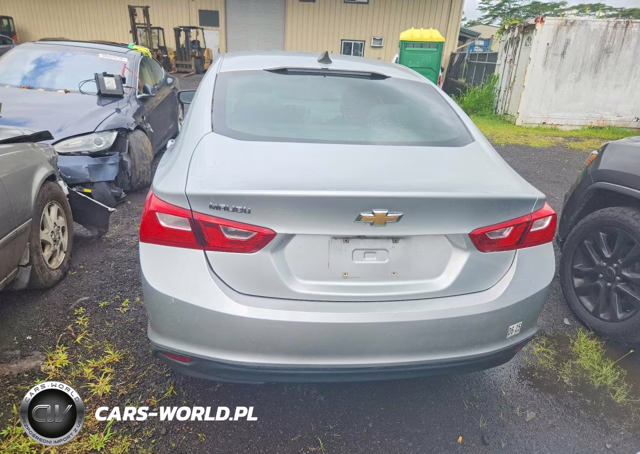 2019 Chevrolet Malibu Ls VIN:1G1ZB5ST7KF149827 - 6