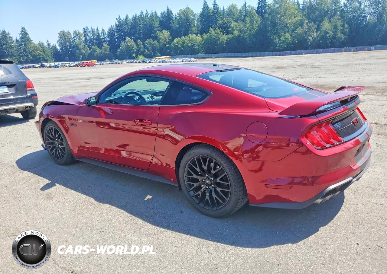 2019 Ford Mustang Gt VIN:1FA6P8CF8K5169795 - 2