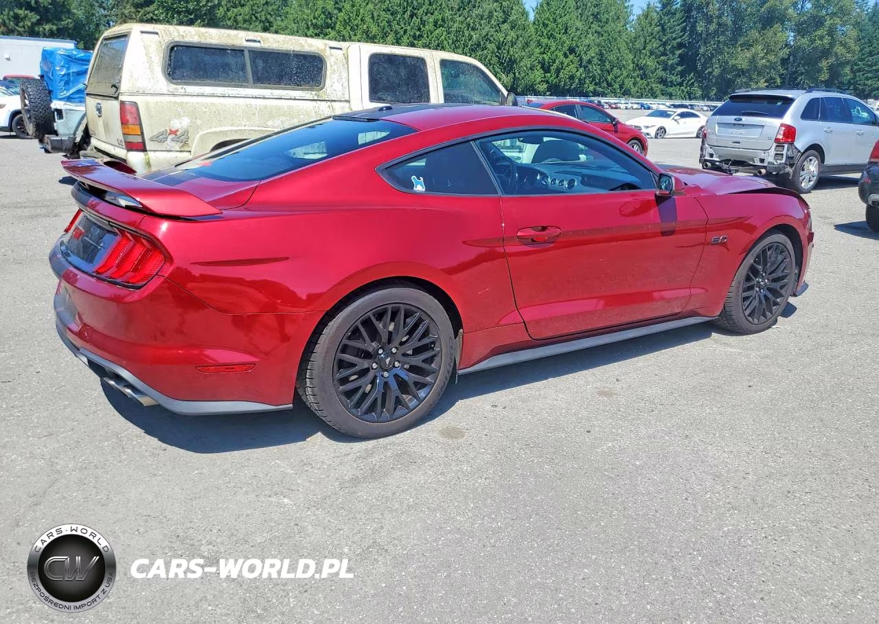 2019 Ford Mustang Gt VIN:1FA6P8CF8K5169795 - 3