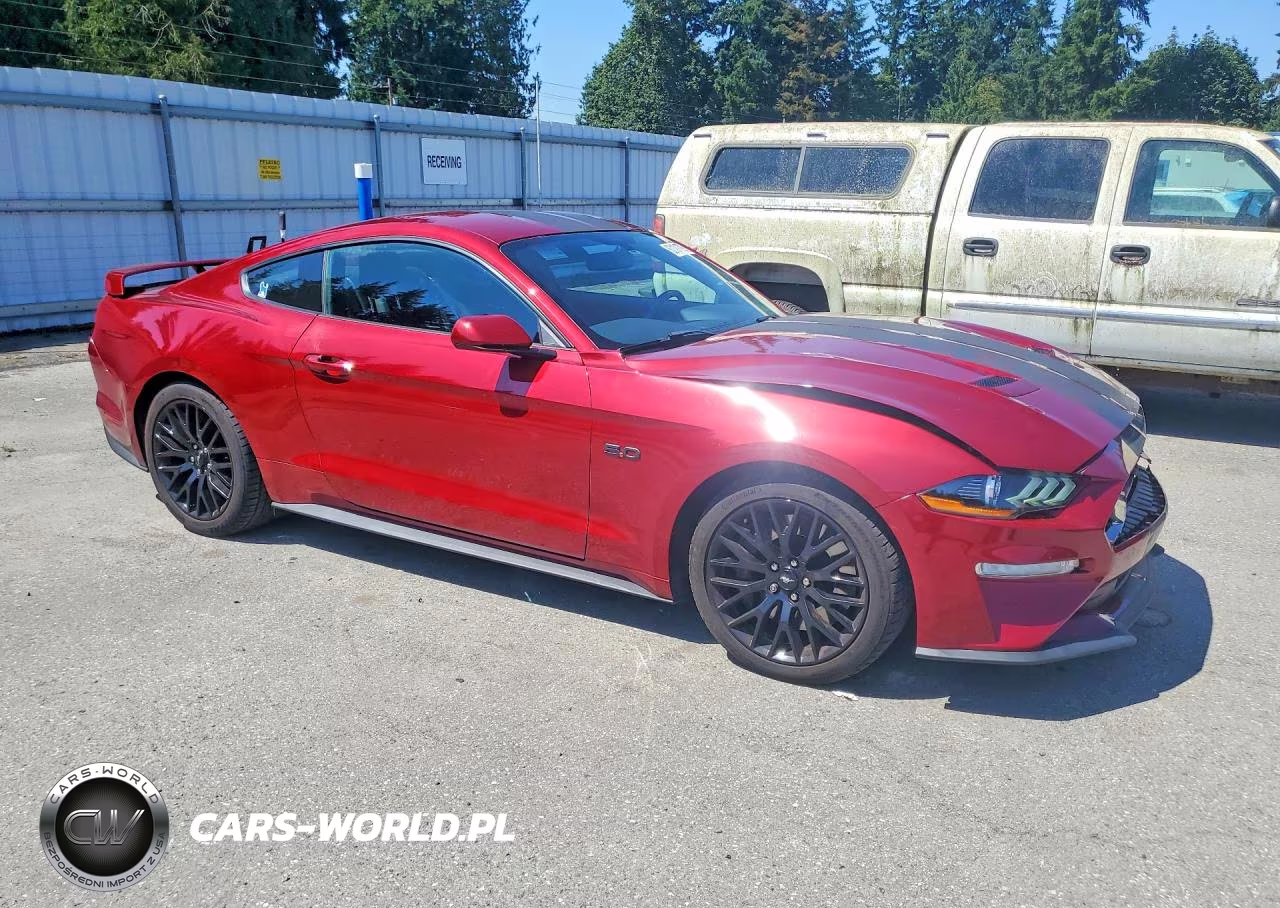 2019 Ford Mustang Gt VIN:1FA6P8CF8K5169795 - 4