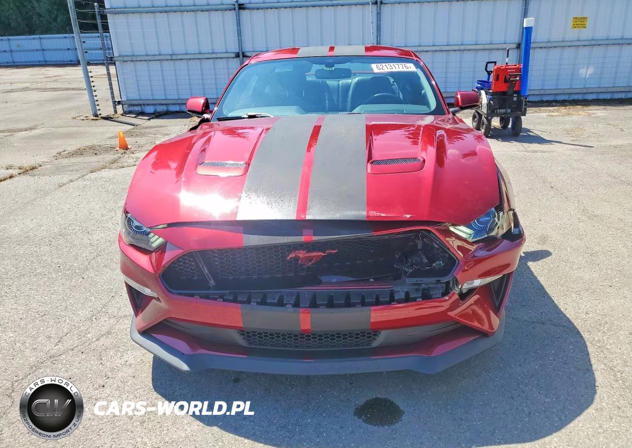 2019 Ford Mustang Gt VIN:1FA6P8CF8K5169795 - 5