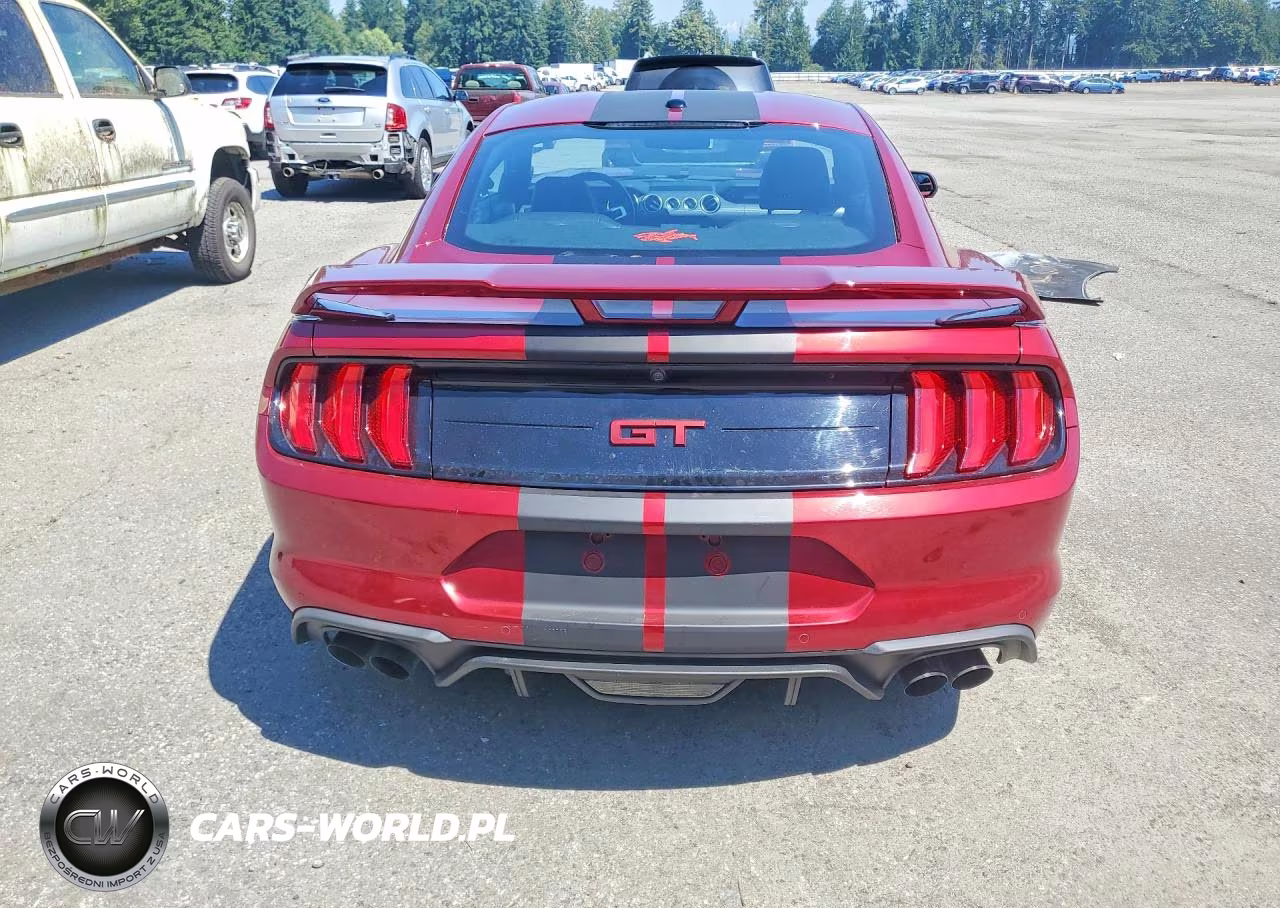 2019 Ford Mustang Gt VIN:1FA6P8CF8K5169795 - 6