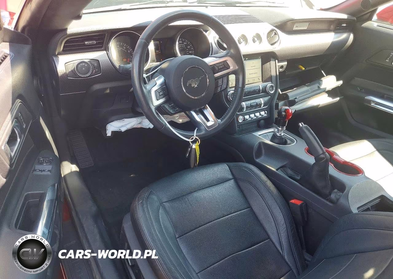 2019 Ford Mustang Gt VIN:1FA6P8CF8K5169795 - 8