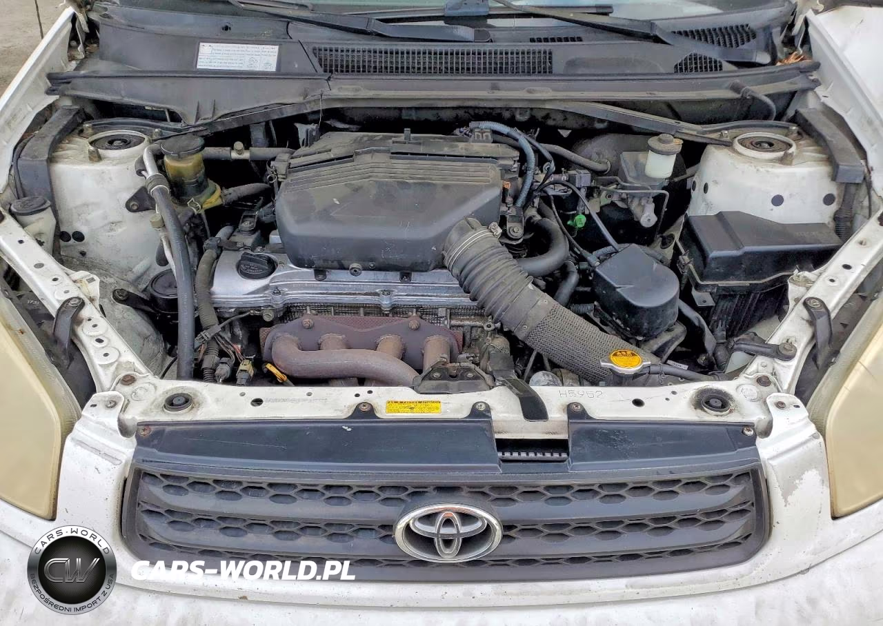 2002 Toyota Rav4 Base VIN:JTEGH20V320041736 - 12