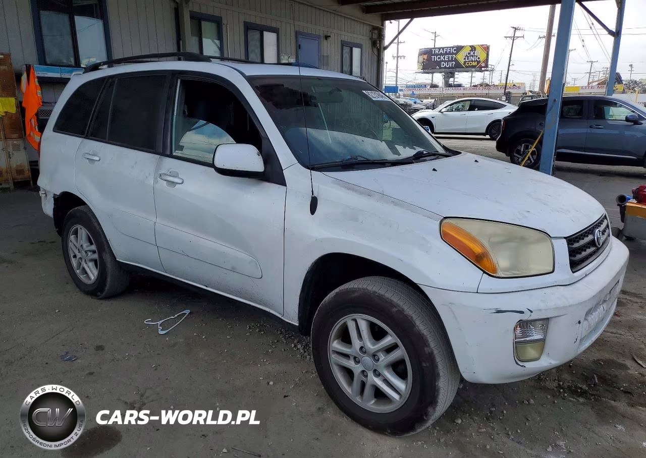 2002 Toyota Rav4 Base VIN:JTEGH20V320041736 - 4