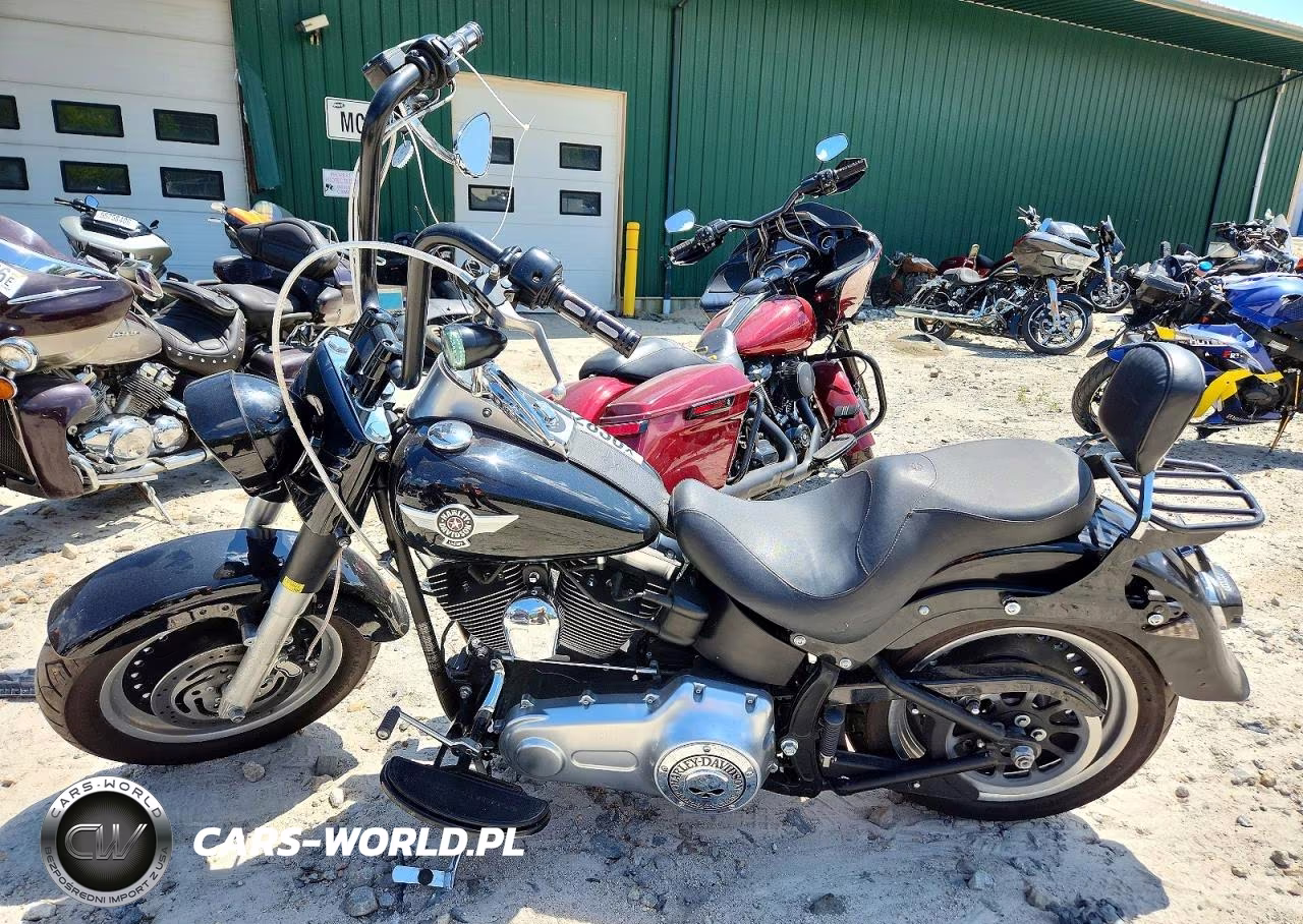 2010 Harley-Davidson Flstfb VIN:1HD1JN512AB023638 - 3