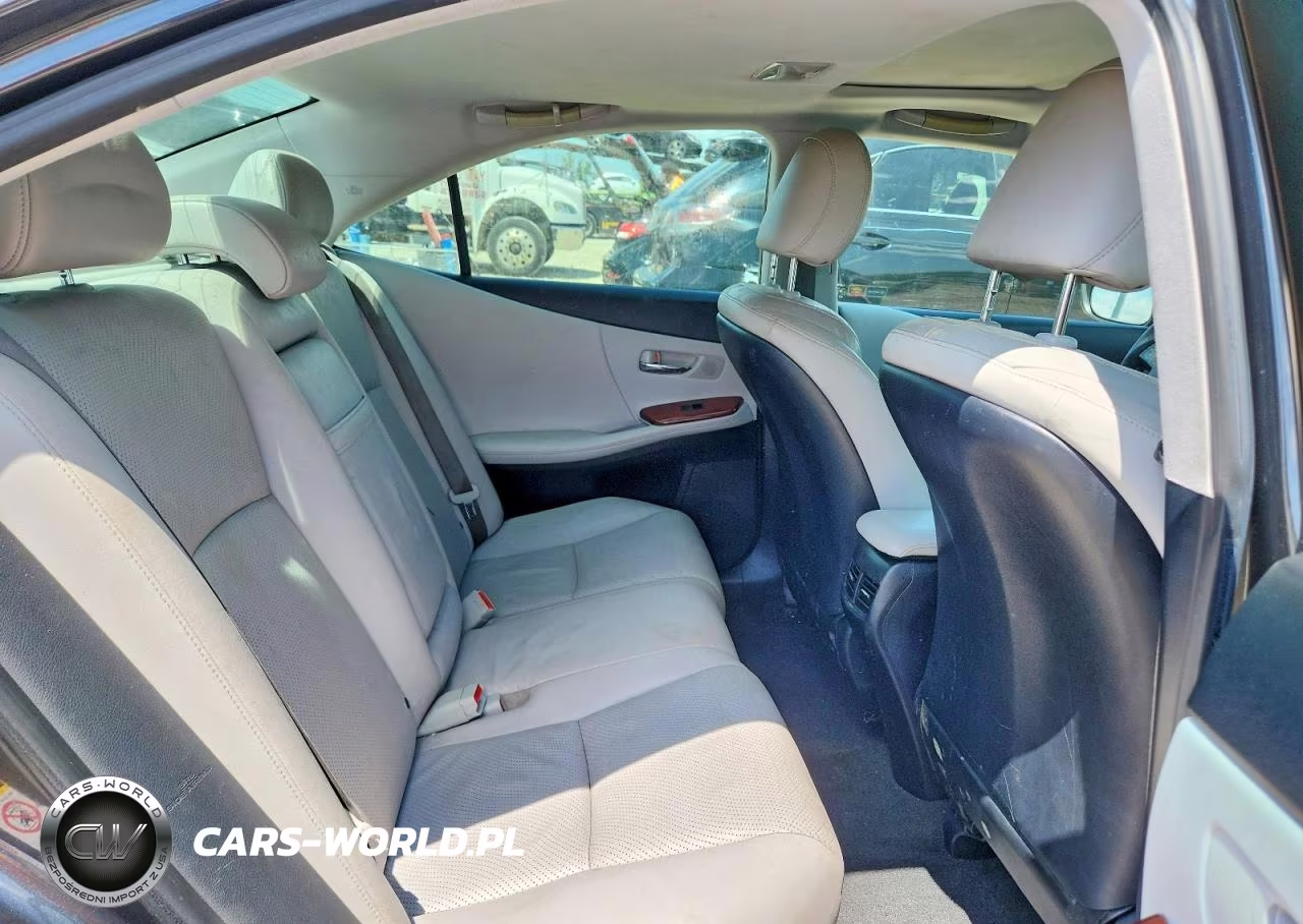 2010 Lexus Hs 250H VIN:JTHBB1BA1A2003153 - 10