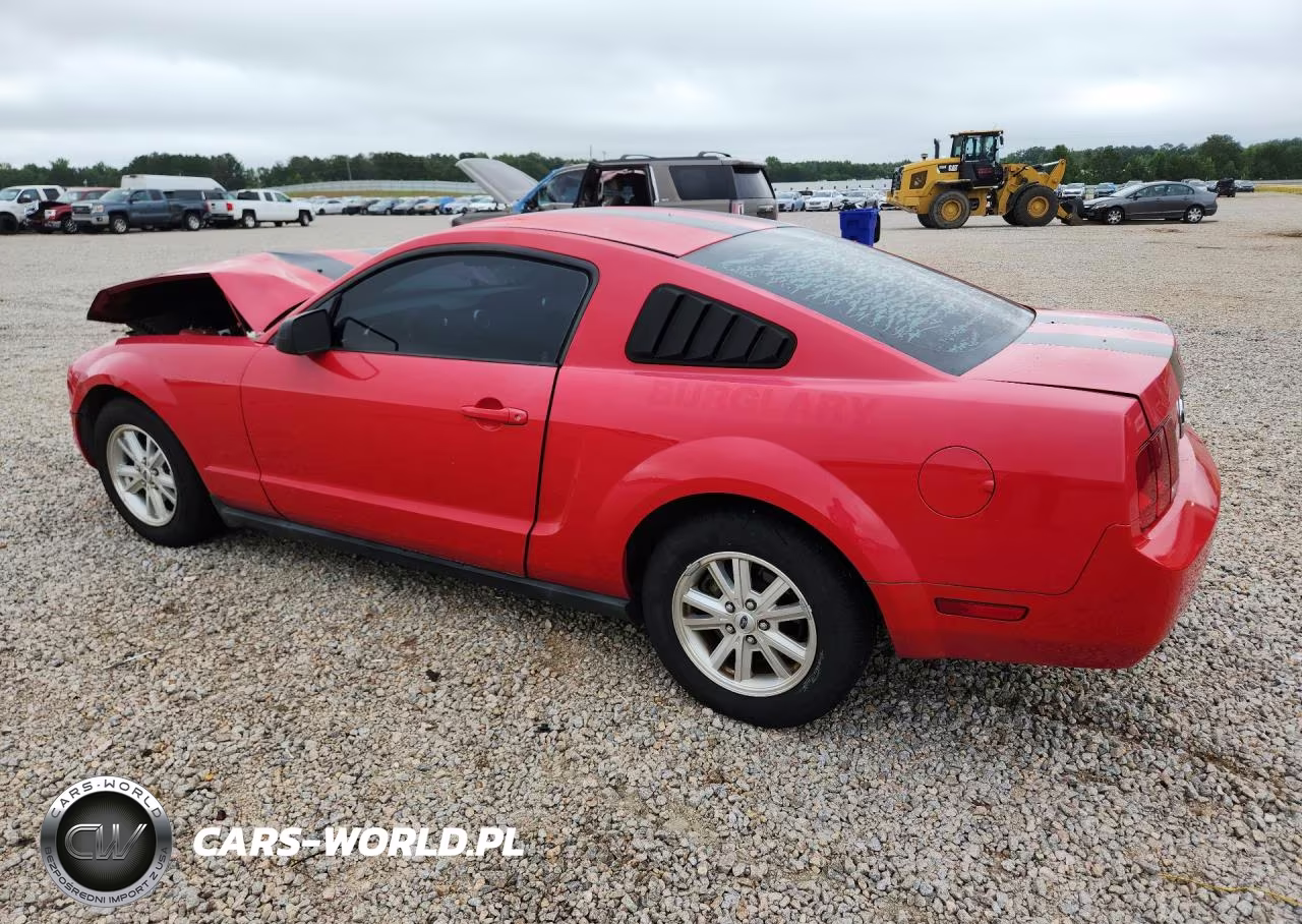 2007 Ford Mustang VIN:1ZVFT80NX75224382 - 2