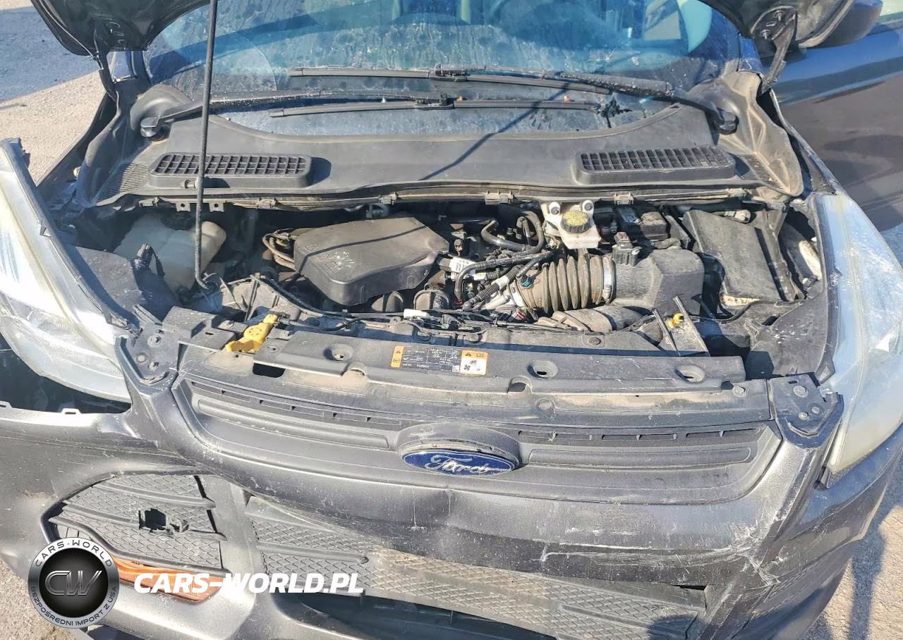 2016 Ford Escape VIN:1FMCU0F70GUC42369 - 12