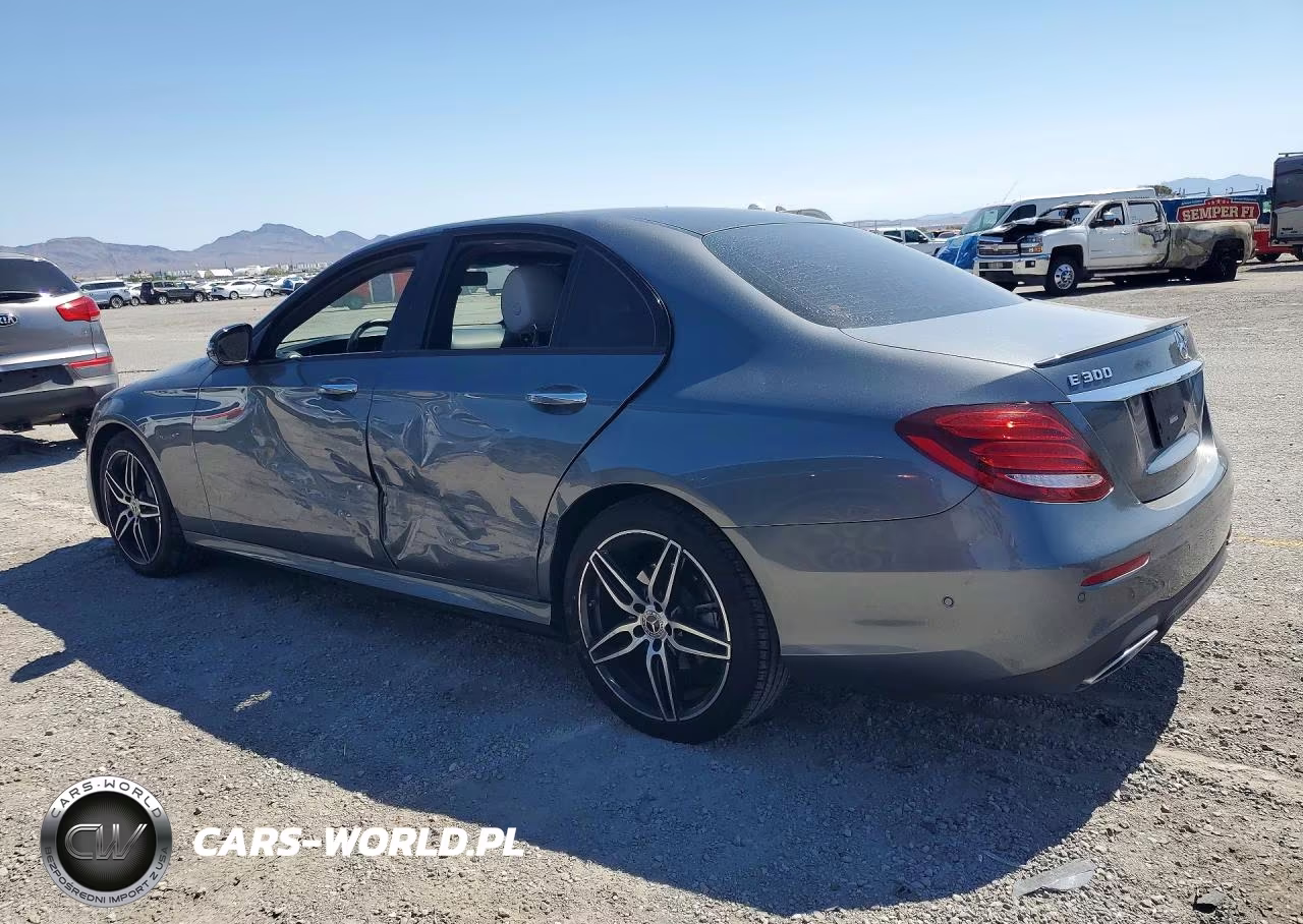2019 Mercedes-Benz E 300 VIN:WDDZF4JBXKA666752 - 2