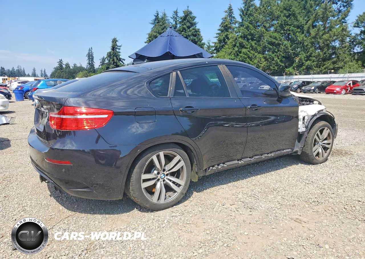2011 BMW X6 M VIN:5YMGZ0C5XBLK14062 - 3