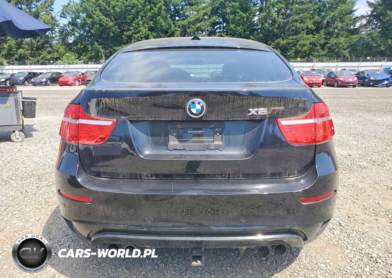 2011 BMW X6 M VIN:5YMGZ0C5XBLK14062 - 6