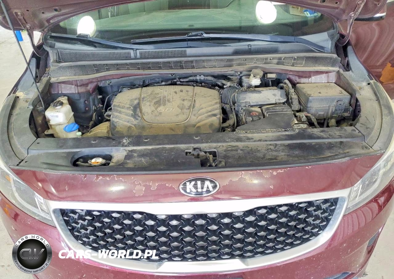 2016 Kia Sedona Sx VIN:KNDMC5C16G6126333 - 12