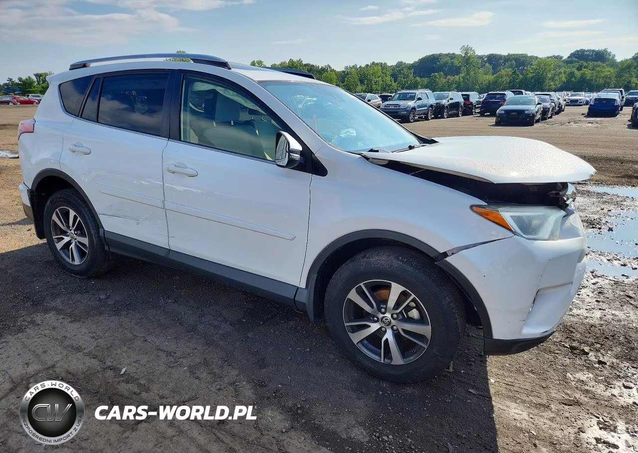 2017 Toyota Rav4 Xle VIN:JTMRFREV9HJ117256 - 4