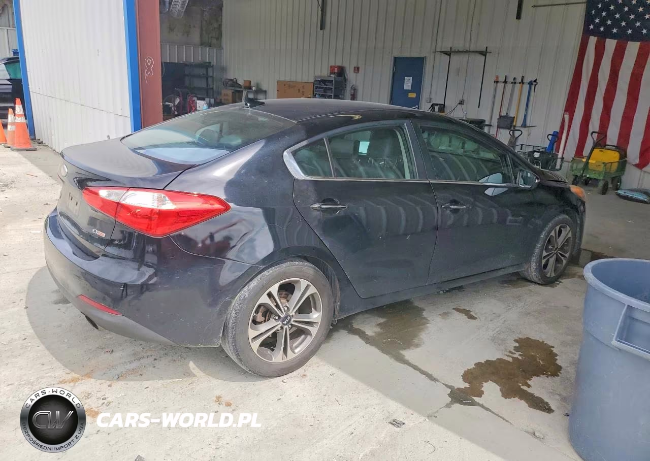 2014 Kia Forte Ex VIN:KNAFZ4A82E5164417 - 3