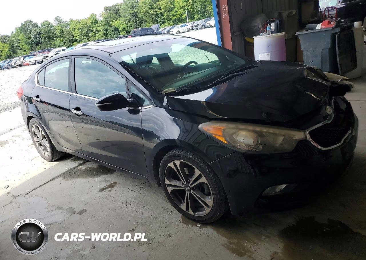 2014 Kia Forte Ex VIN:KNAFZ4A82E5164417 - 4