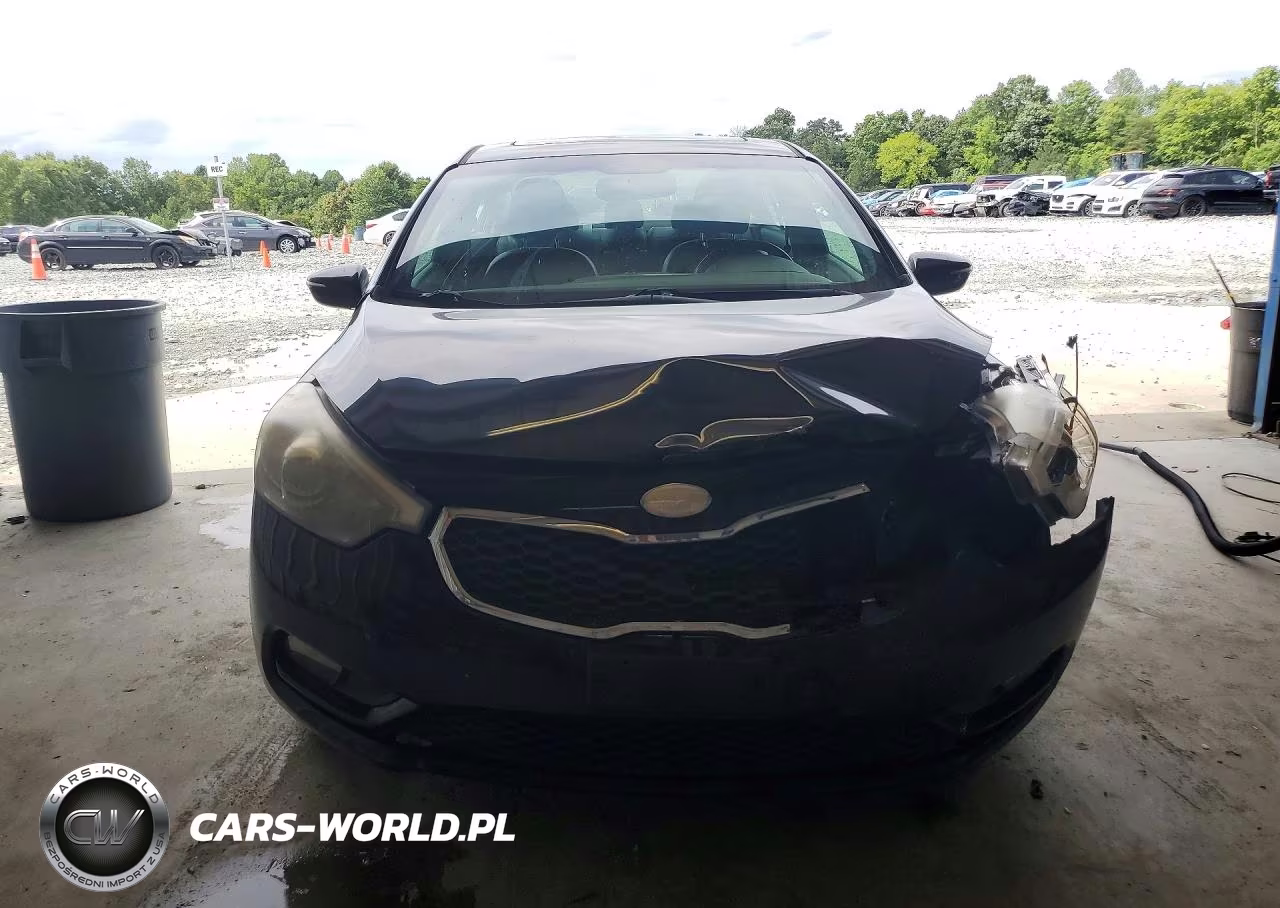 2014 Kia Forte Ex VIN:KNAFZ4A82E5164417 - 5