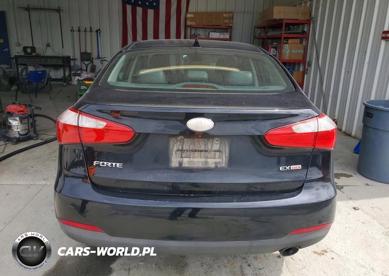 2014 Kia Forte Ex VIN:KNAFZ4A82E5164417 - 6