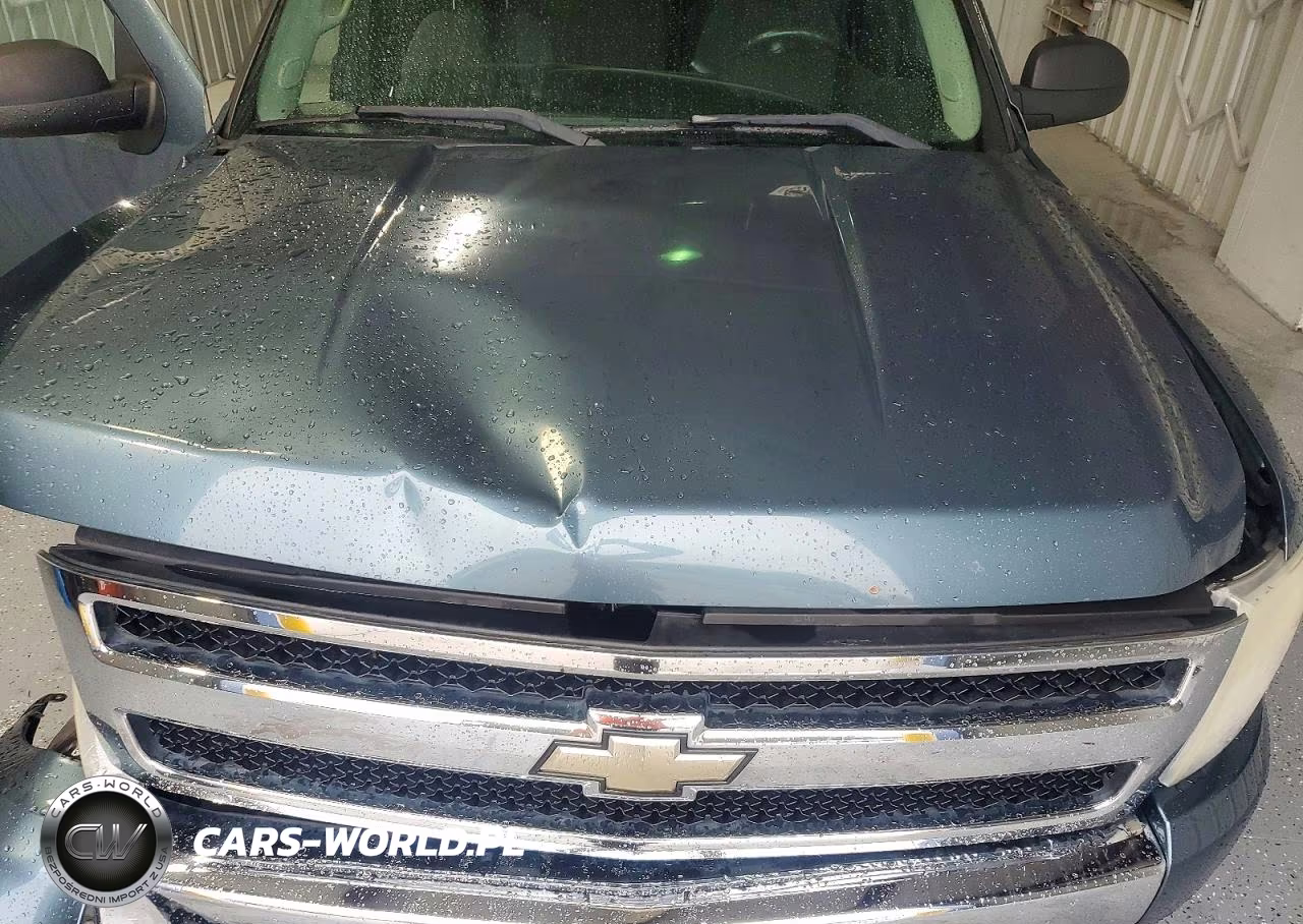 2009 Chevrolet Silverado K1500 Lt VIN:1GCEK29079Z182643 - 11