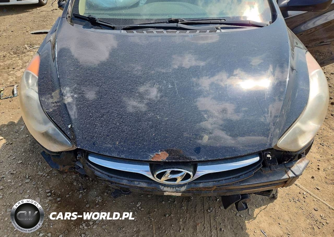 2013 Hyundai Elantra Gls VIN:KMHDH4AE5DU561767 - 11