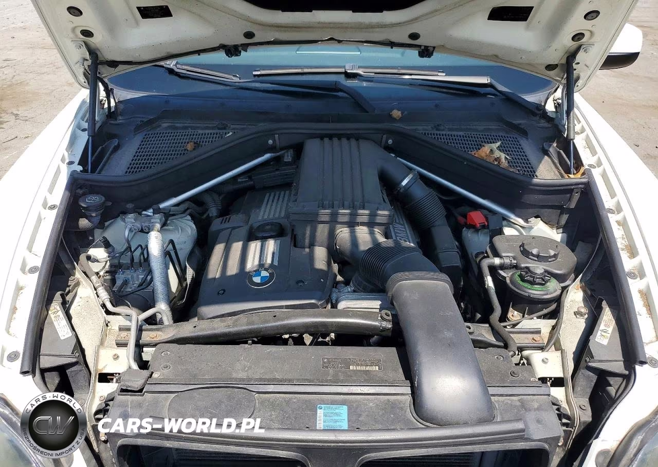 2009 BMW X5 xDrive30I VIN:5UXFE43589L261431 - 12
