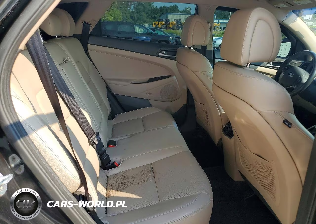 2017 Hyundai Tucson Limited VIN:KM8J33A26HU342243 - 10