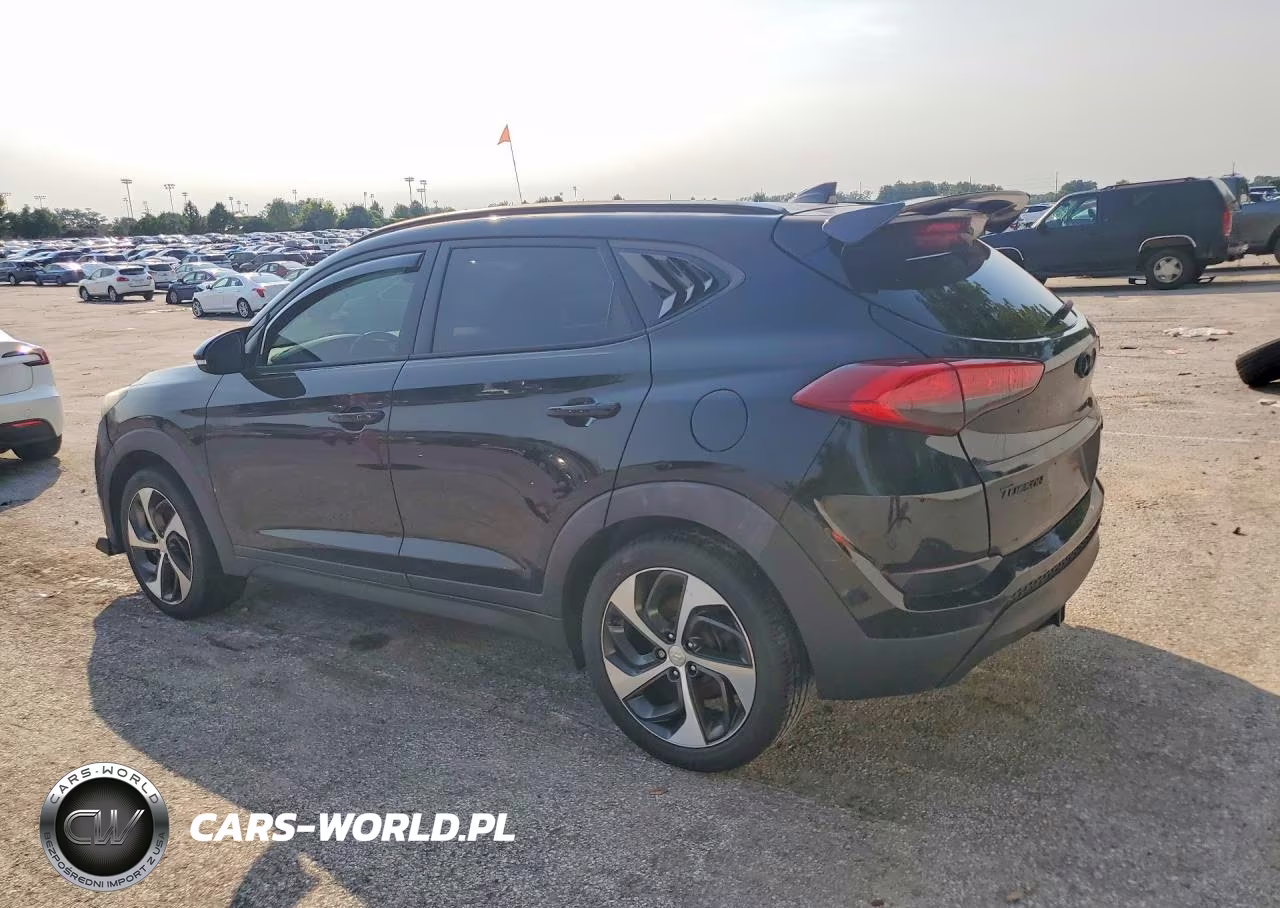 2017 Hyundai Tucson Limited VIN:KM8J33A26HU342243 - 2