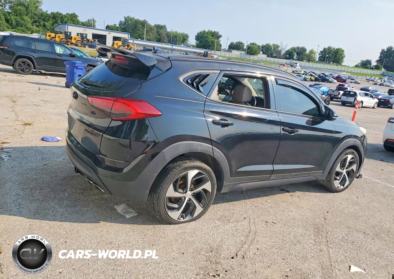 2017 Hyundai Tucson Limited VIN:KM8J33A26HU342243 - 3
